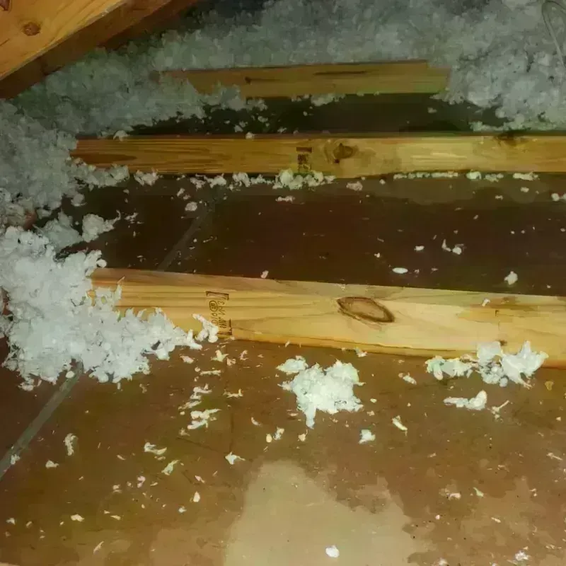 Attic Water Damage in Fullerton, PA